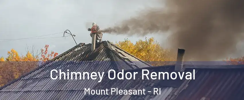 Chimney Odor Removal Mount Pleasant - RI