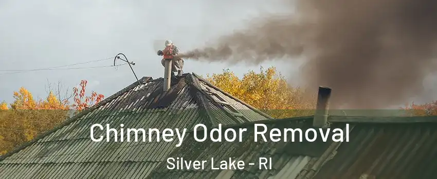 Chimney Odor Removal Silver Lake - RI