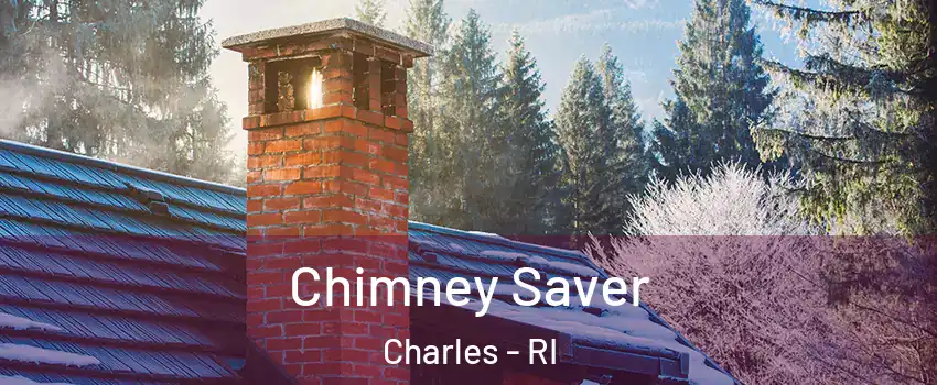 Chimney Saver Charles - RI