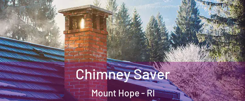 Chimney Saver Mount Hope - RI