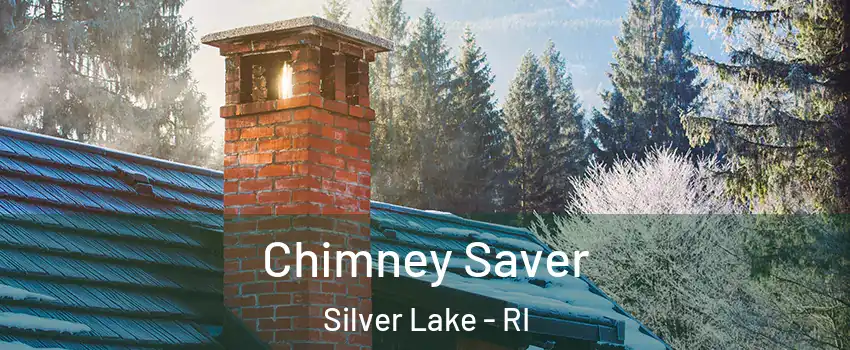 Chimney Saver Silver Lake - RI