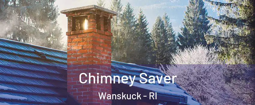 Chimney Saver Wanskuck - RI