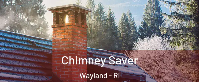 Chimney Saver Wayland - RI