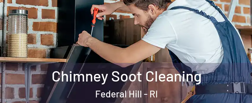 Chimney Soot Cleaning Federal Hill - RI