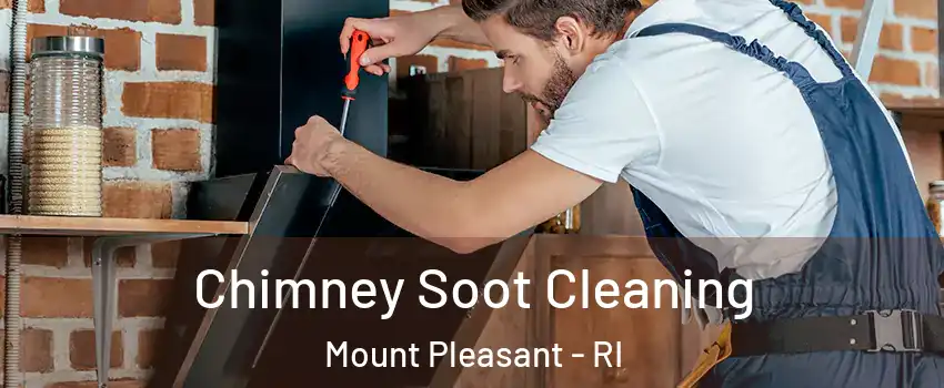 Chimney Soot Cleaning Mount Pleasant - RI