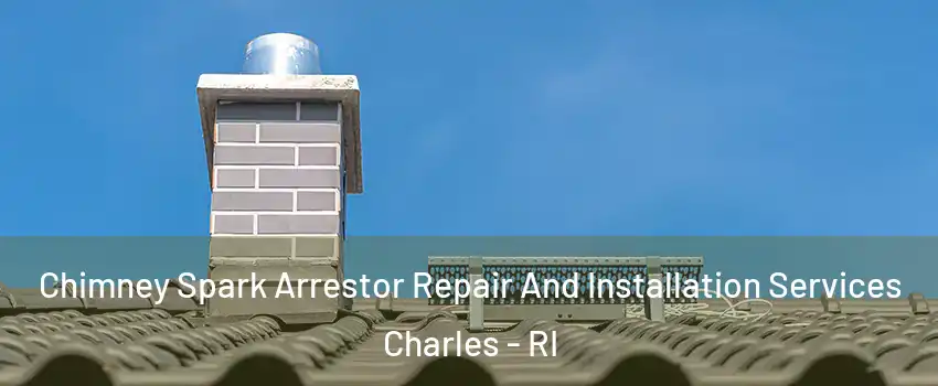 Chimney Spark Arrestor Repair And Installation Services Charles - RI