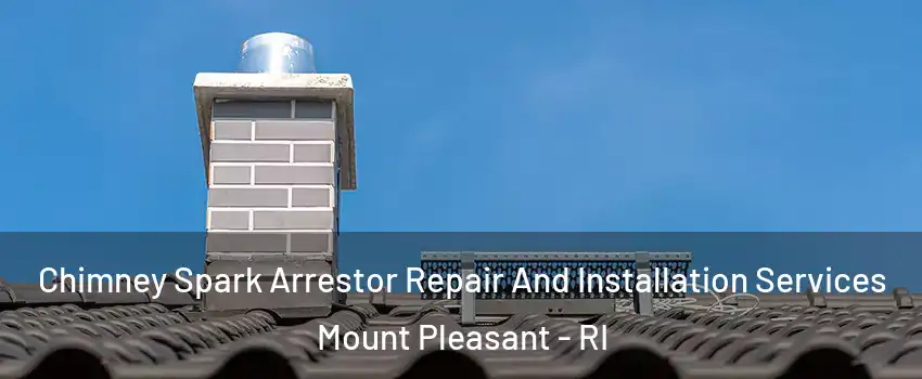 Chimney Spark Arrestor Repair And Installation Services Mount Pleasant - RI