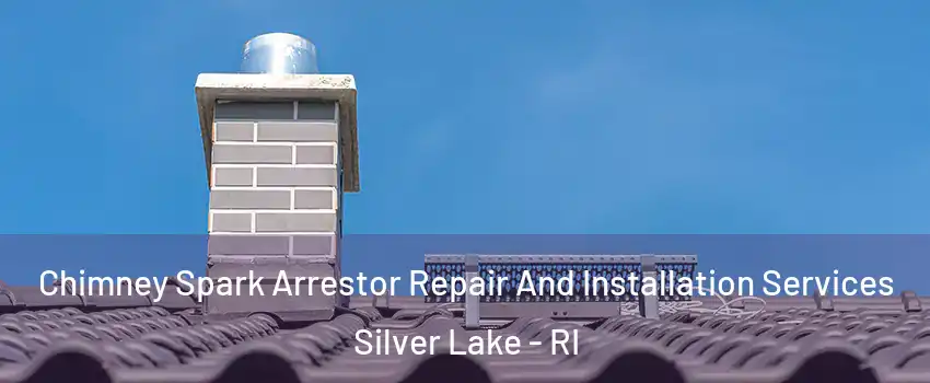 Chimney Spark Arrestor Repair And Installation Services Silver Lake - RI