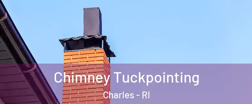 Chimney Tuckpointing Charles - RI