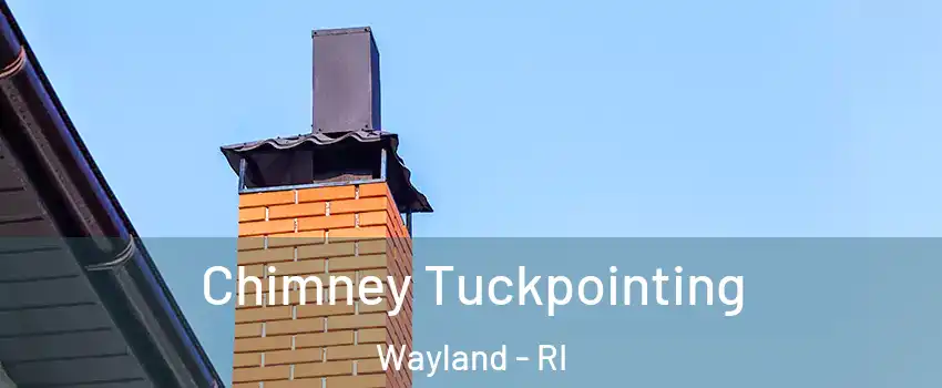 Chimney Tuckpointing Wayland - RI