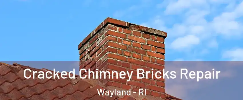 Cracked Chimney Bricks Repair Wayland - RI