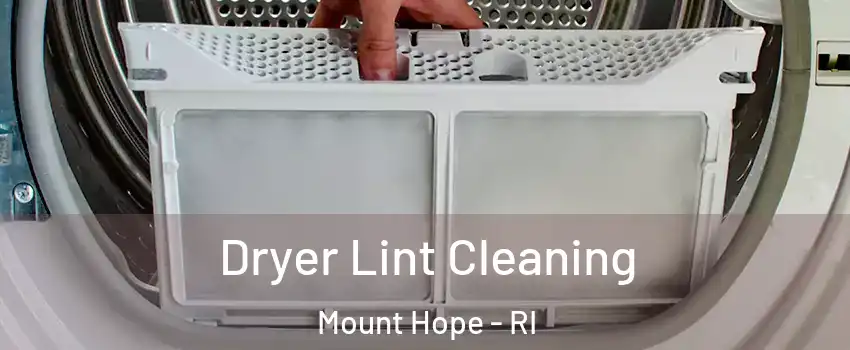 Dryer Lint Cleaning Mount Hope - RI