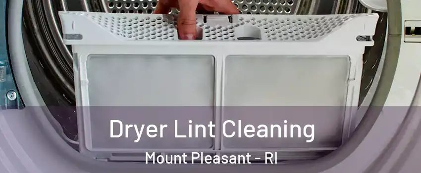 Dryer Lint Cleaning Mount Pleasant - RI