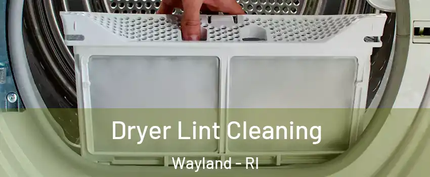 Dryer Lint Cleaning Wayland - RI