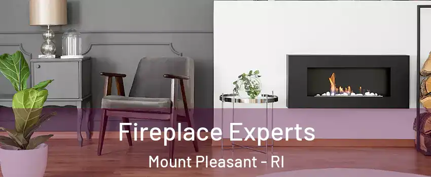 Fireplace Experts Mount Pleasant - RI