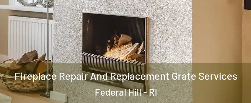 Fireplace Repair And Replacement Grate Services Federal Hill - RI