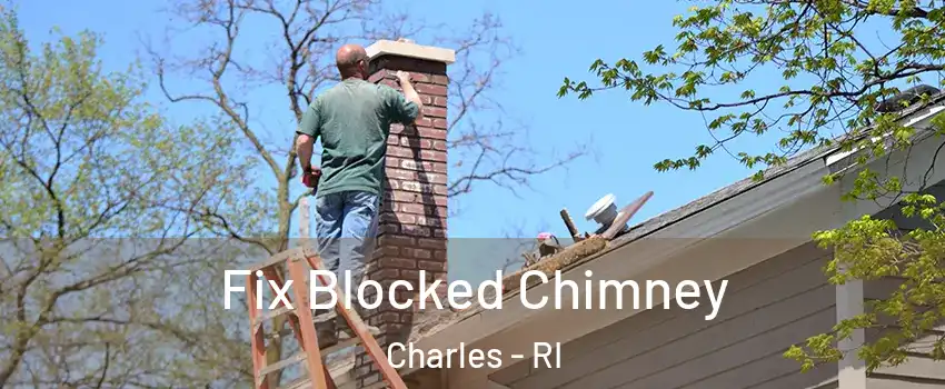 Fix Blocked Chimney Charles - RI