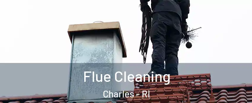 Flue Cleaning Charles - RI