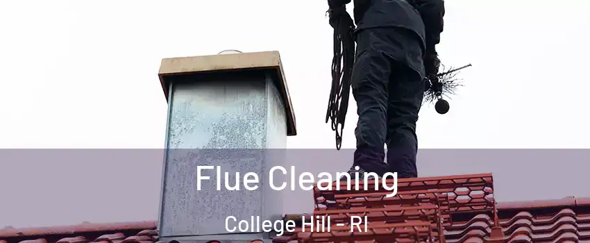 Flue Cleaning College Hill - RI