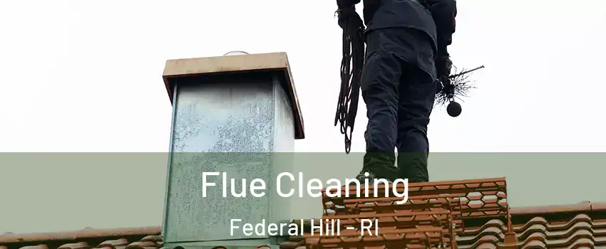 Flue Cleaning Federal Hill - RI