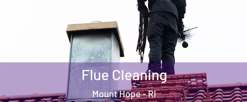 Flue Cleaning Mount Hope - RI