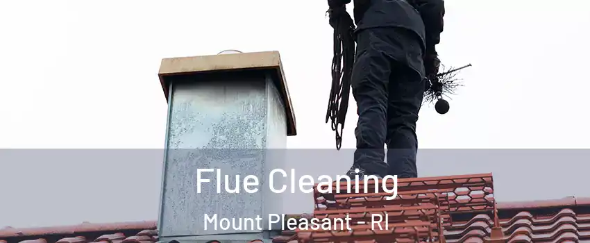 Flue Cleaning Mount Pleasant - RI