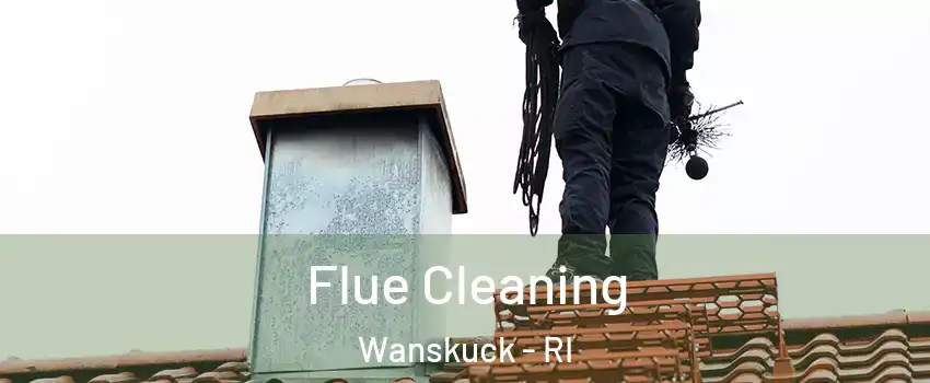 Flue Cleaning Wanskuck - RI