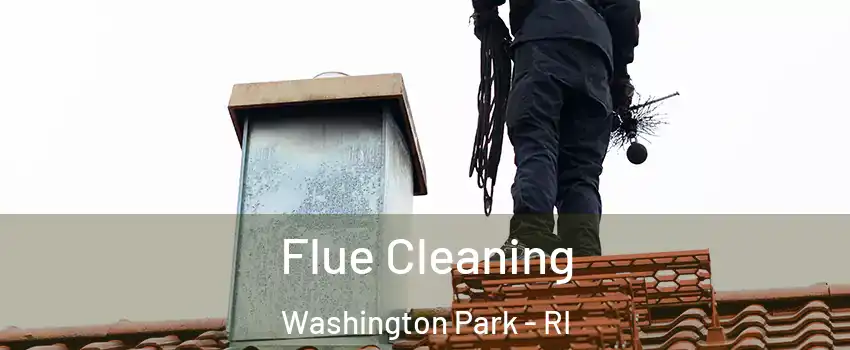 Flue Cleaning Washington Park - RI