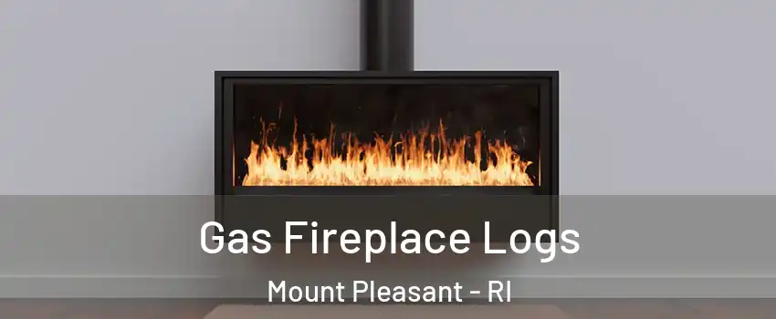 Gas Fireplace Logs Mount Pleasant - RI