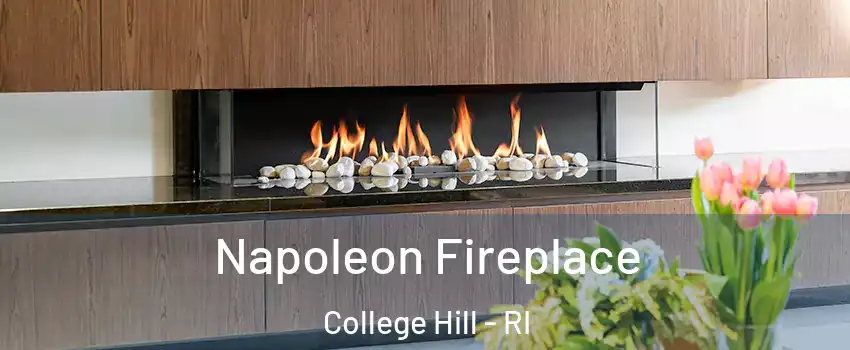 Napoleon Fireplace College Hill - RI