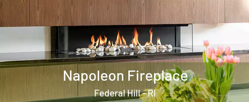 Napoleon Fireplace Federal Hill - RI