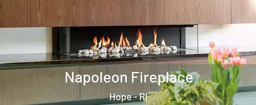 Napoleon Fireplace Hope - RI