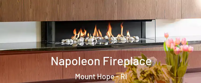 Napoleon Fireplace Mount Hope - RI