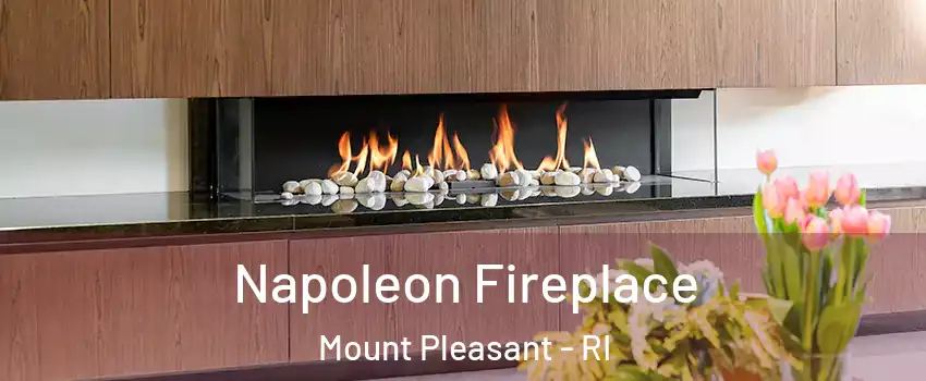 Napoleon Fireplace Mount Pleasant - RI