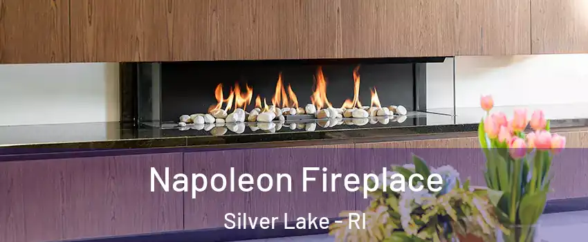 Napoleon Fireplace Silver Lake - RI