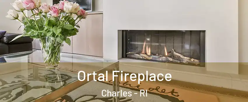 Ortal Fireplace Charles - RI