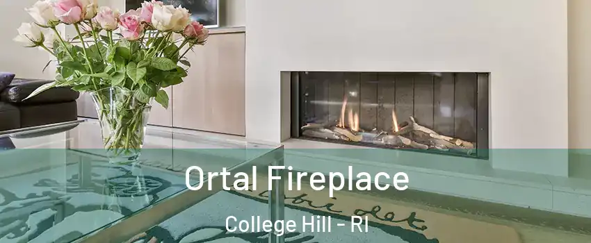 Ortal Fireplace College Hill - RI