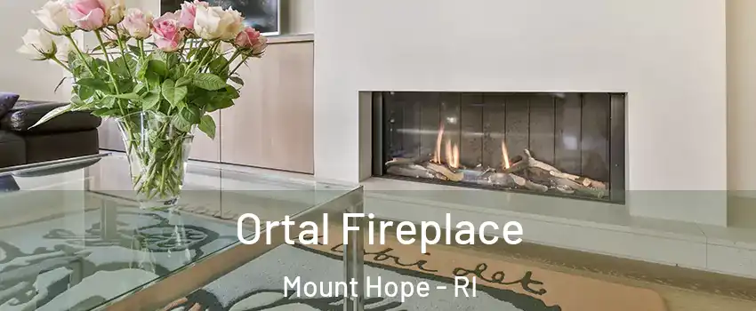 Ortal Fireplace Mount Hope - RI