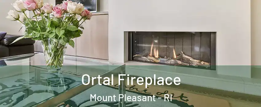 Ortal Fireplace Mount Pleasant - RI