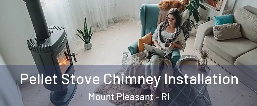 Pellet Stove Chimney Installation Mount Pleasant - RI