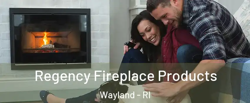 Regency Fireplace Products Wayland - RI