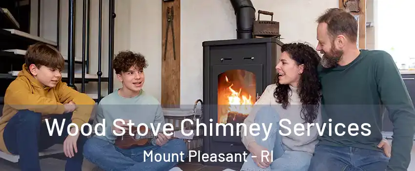 Wood Stove Chimney Services Mount Pleasant - RI