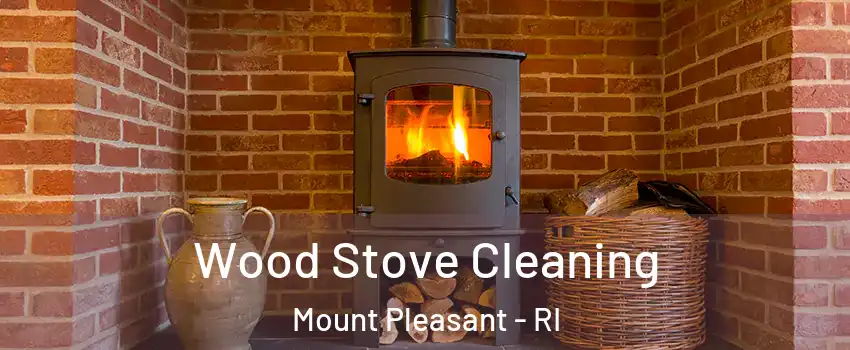 Wood Stove Cleaning Mount Pleasant - RI